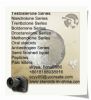 Testosterone Propionate 57-85-2 Raw Steroid Powders